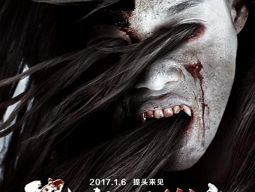香港驾照也是在公约国之内吗